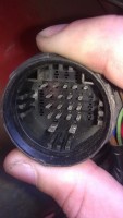 WP_20140505_003.jpg